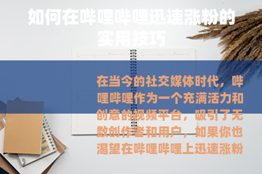 如何在哔哩哔哩迅速涨粉的实用技巧