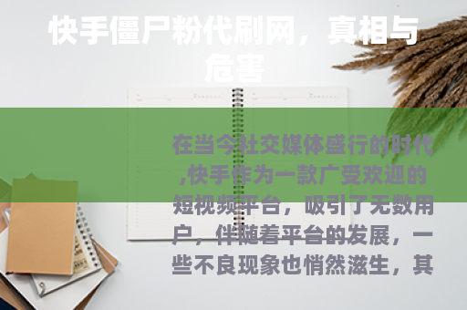 快手僵尸粉代刷网，真相与危害