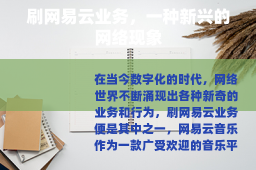 刷网易云业务,一种新兴的网络现象 刷网易云业务,一种新兴的网络现象