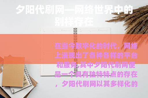 夕阳代刷网—网络世界中的别样存在
