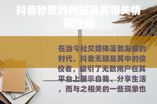抖音秒赞的网站及其相关情况介绍