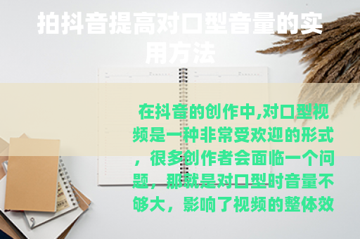 拍抖音提高对口型音量的实用方法