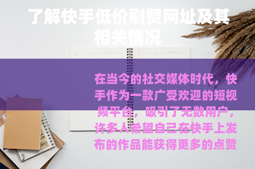 了解快手低价刷赞网址及其相关情况