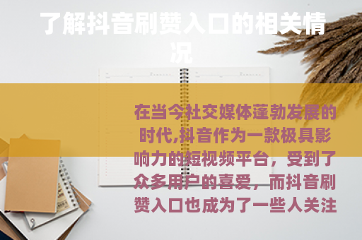 了解抖音刷赞入口的相关情况