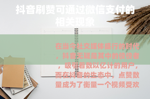抖音刷赞可通过微信支付的相关现象