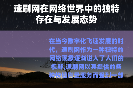 速刷网在网络世界中的独特存在与发展态势