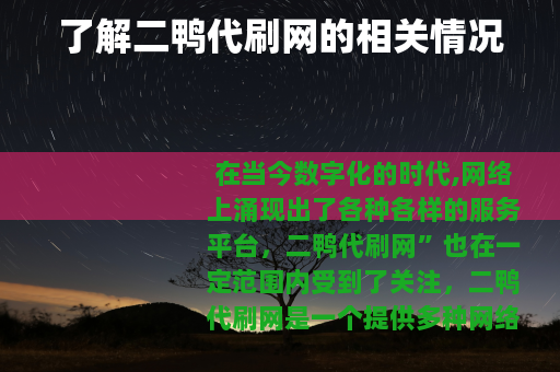 了解二鸭代刷网的相关情况