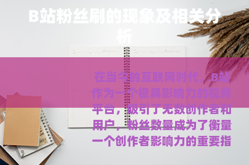 B站粉丝刷的现象及相关分析