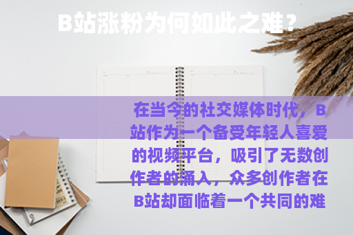 B站涨粉为何如此之难？