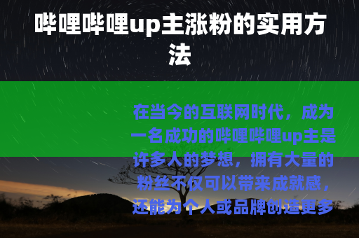 哔哩哔哩up主涨粉的实用方法
