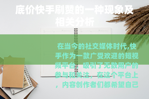底价快手刷赞的一种现象及相关分析