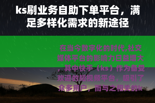 ks刷业务自助下单平台，满足多样化需求的新途径