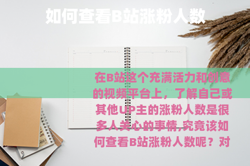 如何查看B站涨粉人数