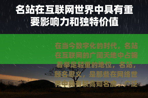 名站在互联网世界中具有重要影响力和独特价值 名站在互联网世界中具有重要影响力和独特价值