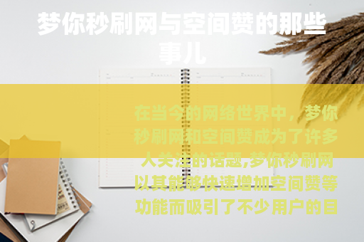 梦你秒刷网与空间赞的那些事儿