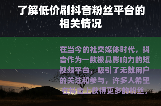 了解低价刷抖音粉丝平台的相关情况