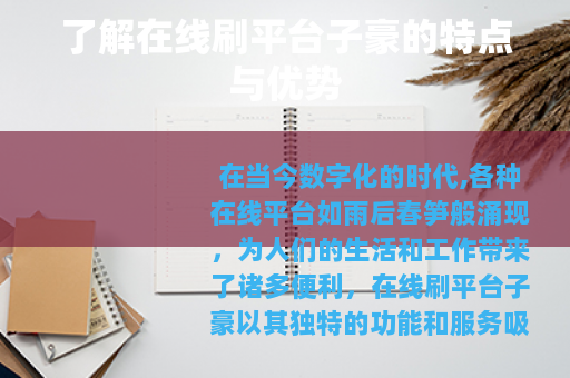 了解在线刷平台子豪的特点与优势