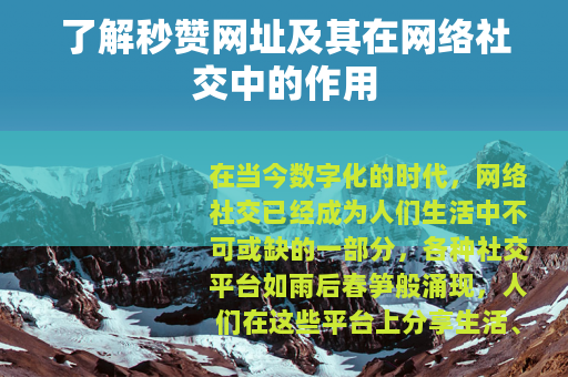 了解秒赞网址及其在网络社交中的作用