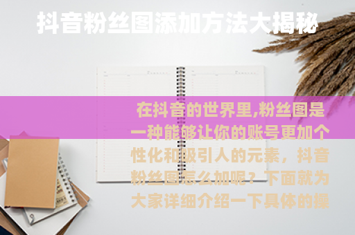 抖音粉丝图添加方法大揭秘