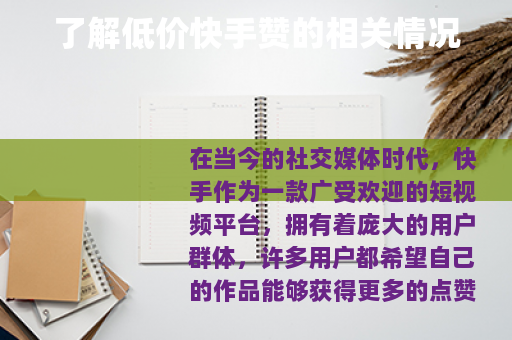 了解低价快手赞的相关情况