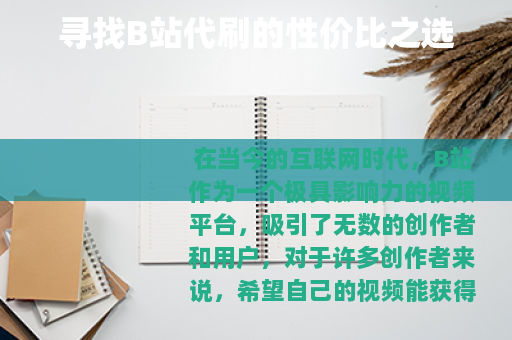 寻找B站代刷的性价比之选