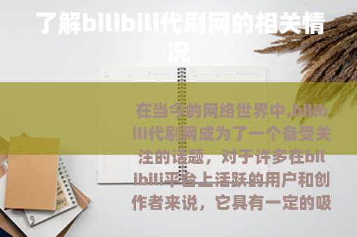 了解bilibili代刷网的相关情况