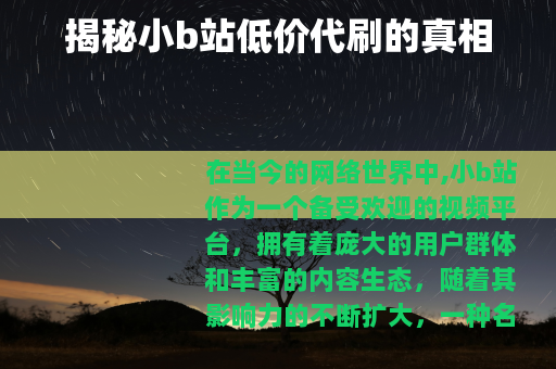 揭秘小b站低价代刷的真相