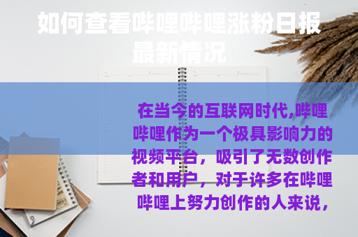 如何查看哔哩哔哩涨粉日报最新情况