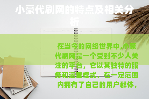 小豪代刷网的特点及相关分析