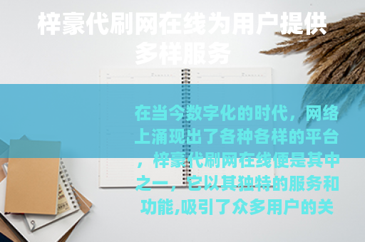 梓豪代刷网在线为用户提供多样服务