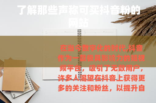 了解那些声称可买抖音粉的网站 了解那些声称可买抖音粉的网站