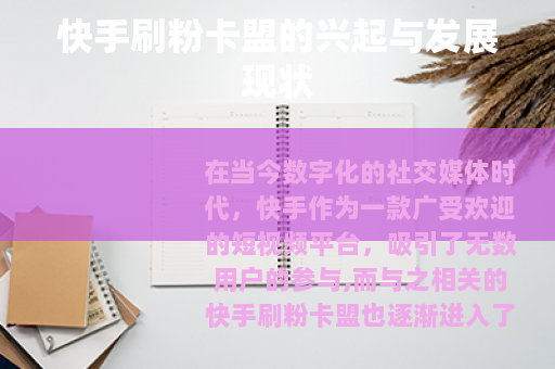 快手刷粉卡盟的兴起与发展现状