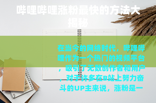 哔哩哔哩涨粉最快的方法大揭秘