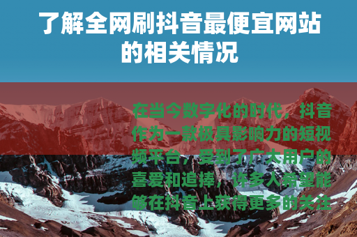 了解全网刷抖音最便宜网站的相关情况