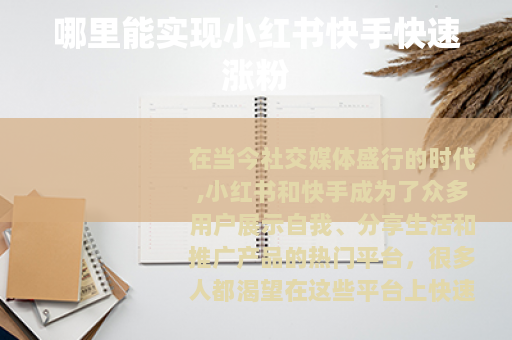 哪里能实现小红书快手快速涨粉