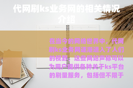 代网刷ks业务网的相关情况介绍