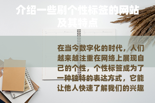 介绍一些刷个性标签的网站及其特点