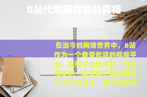 B站代刷网背后的真相