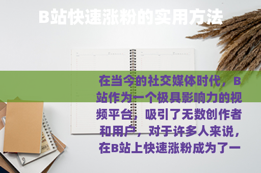 B站快速涨粉的实用方法