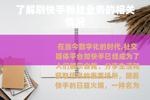 了解刷快手粉丝业务的相关情况