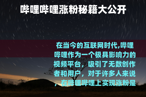 哔哩哔哩涨粉秘籍大公开