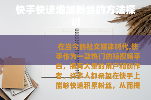 快手快速增加粉丝的方法探讨