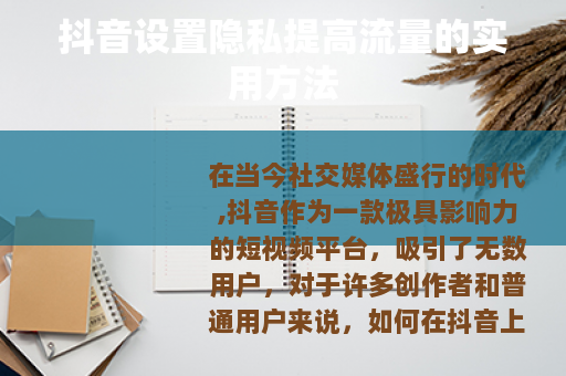 抖音设置隐私提高流量的实用方法