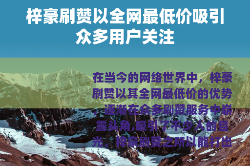 梓豪刷赞以全网最低价吸引众多用户关注