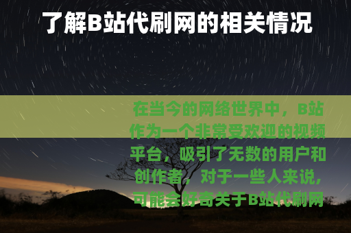了解B站代刷网的相关情况