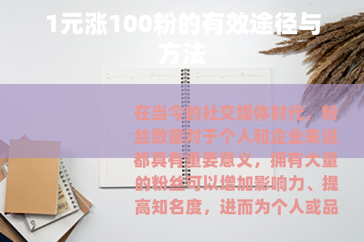 1元涨100粉的有效途径与方法 1元涨100粉的有效途径与方法