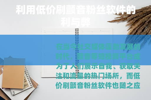 利用低价刷颤音粉丝软件的利与弊 利用低价刷颤音粉丝软件的利与弊
