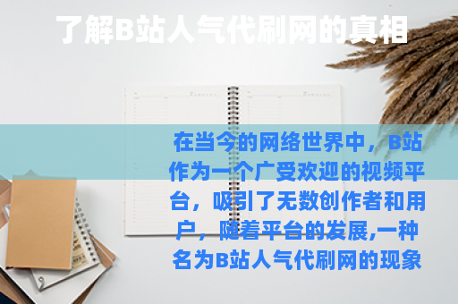 了解B站人气代刷网的真相