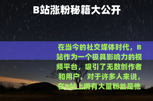 B站涨粉秘籍大公开