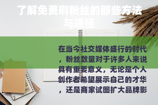 了解免费刷粉丝的那些方法与途径